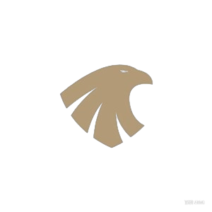 Fly General Logo